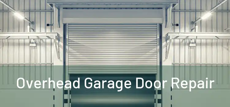  Overhead Garage Door Repair 